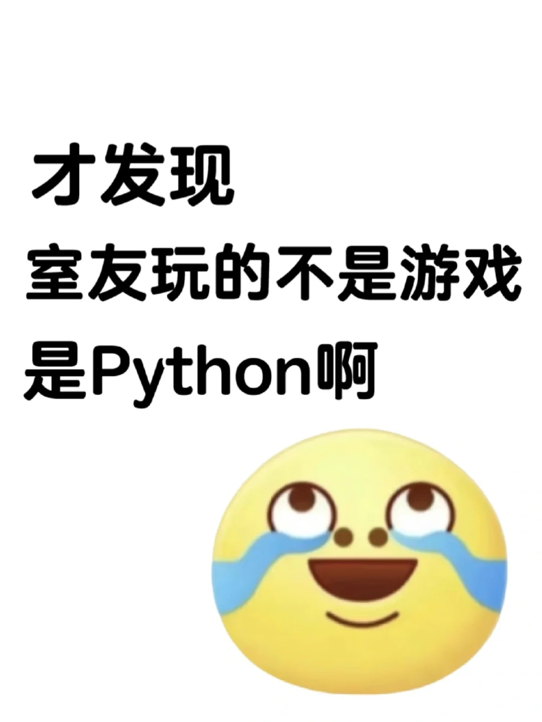 才发现室友玩的不是游戏，是Python啊！！
