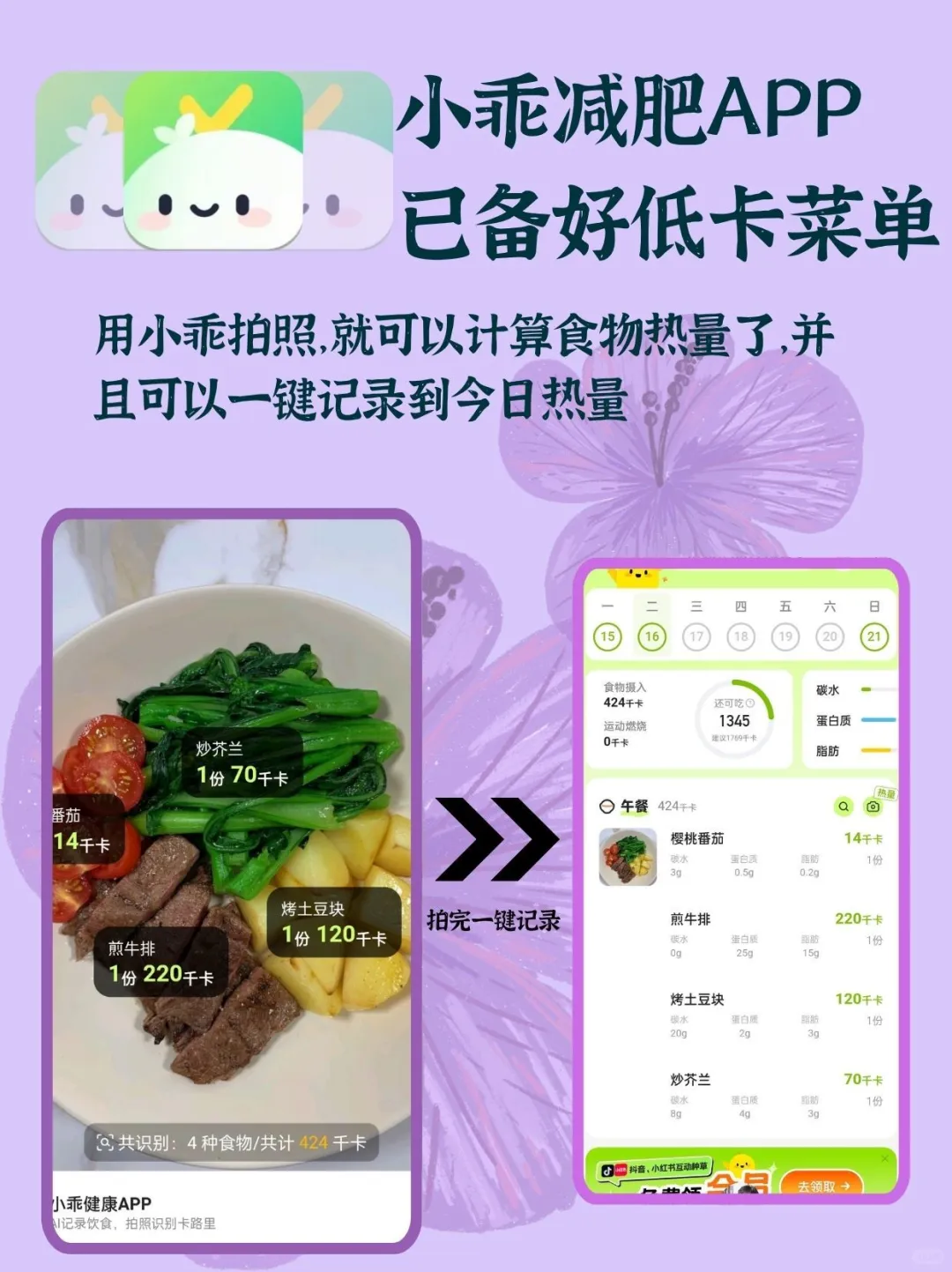 小乖减肥app，已备好低卡菜单