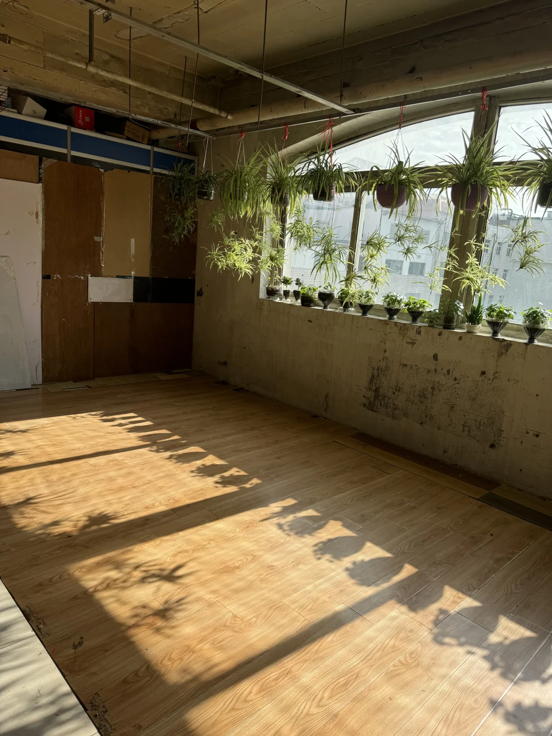 谁能教我登苹果的ins