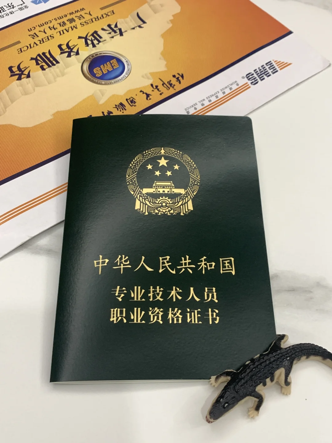 软考证书到啦🤩🥳🤠