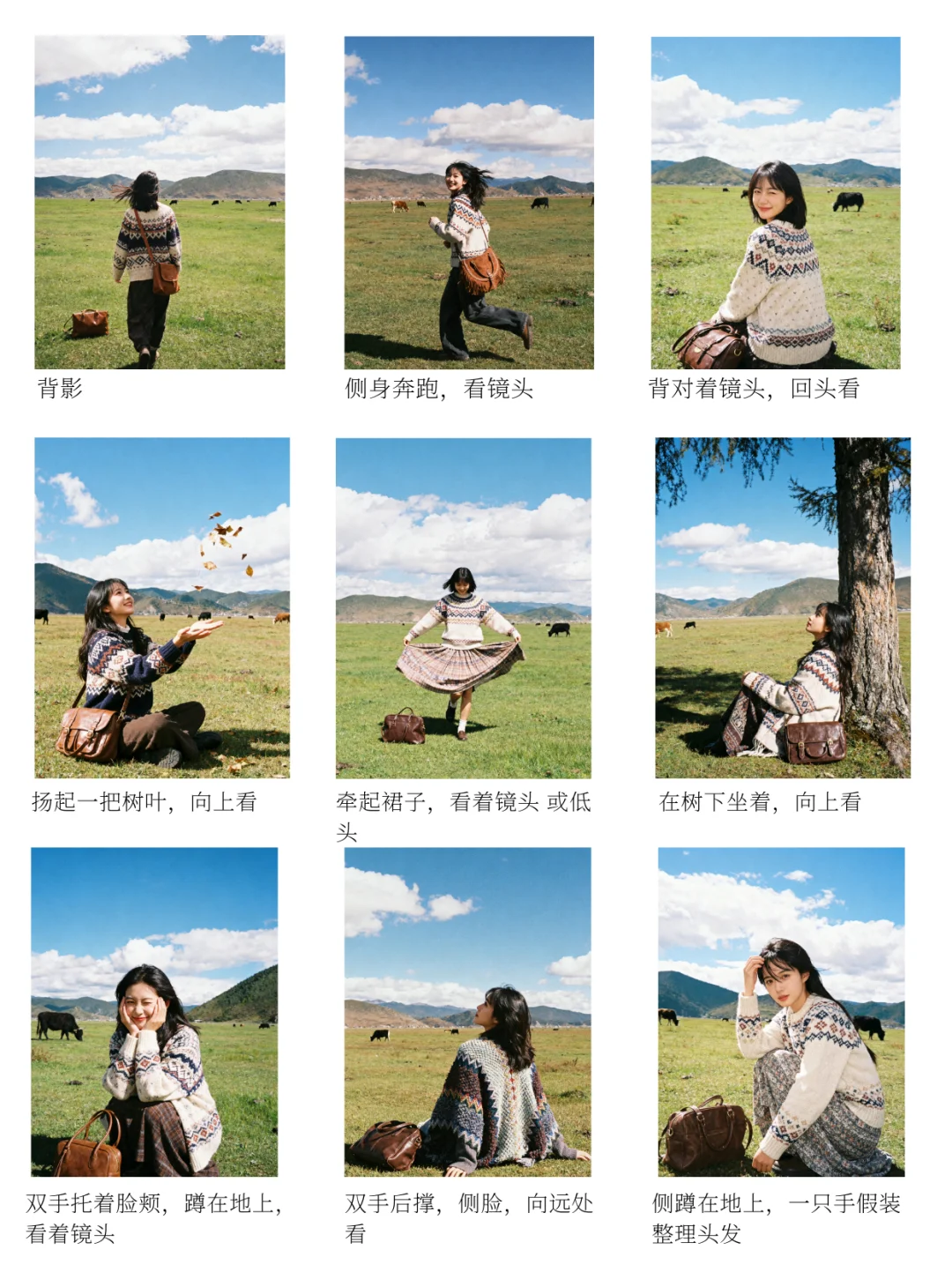 适合素人的拍摄脚本📷草原的风