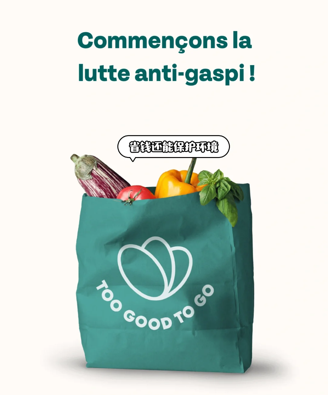 法国I留学生不可错过的APP