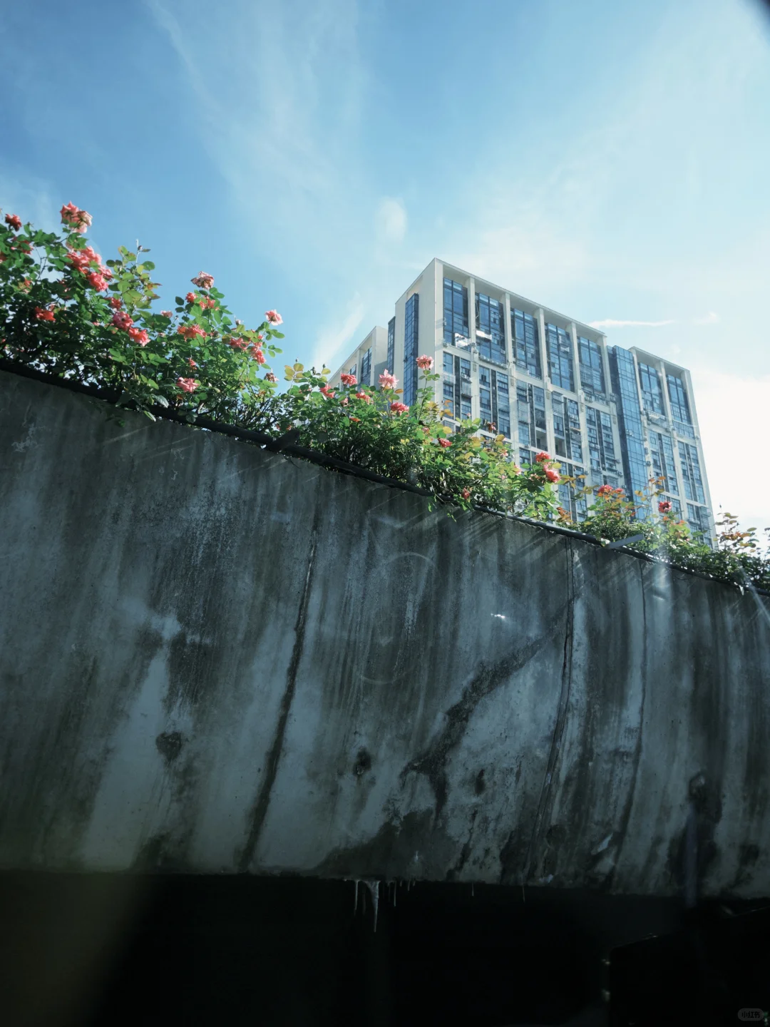 安卓手机有没有像dazz一样优秀的拍摄app