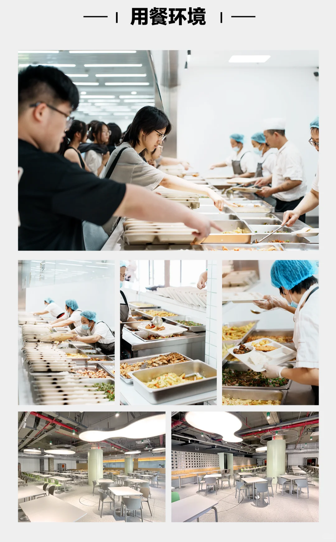 【寒假软件集训营】预报名开启！