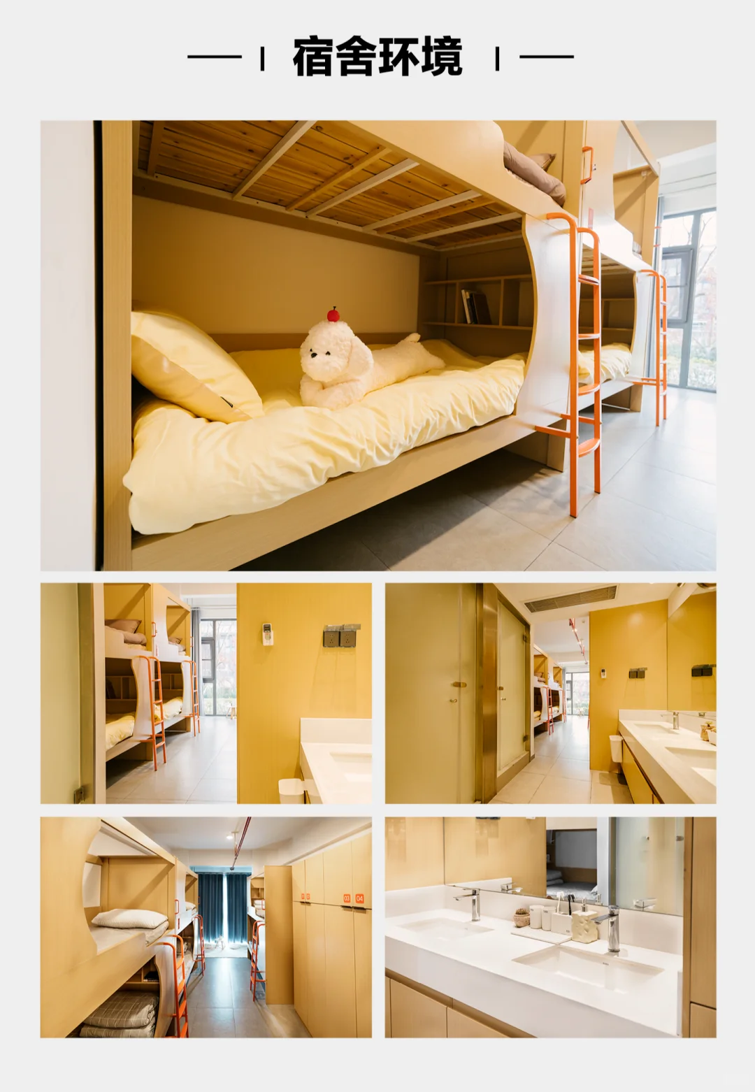 【寒假软件集训营】预报名开启！