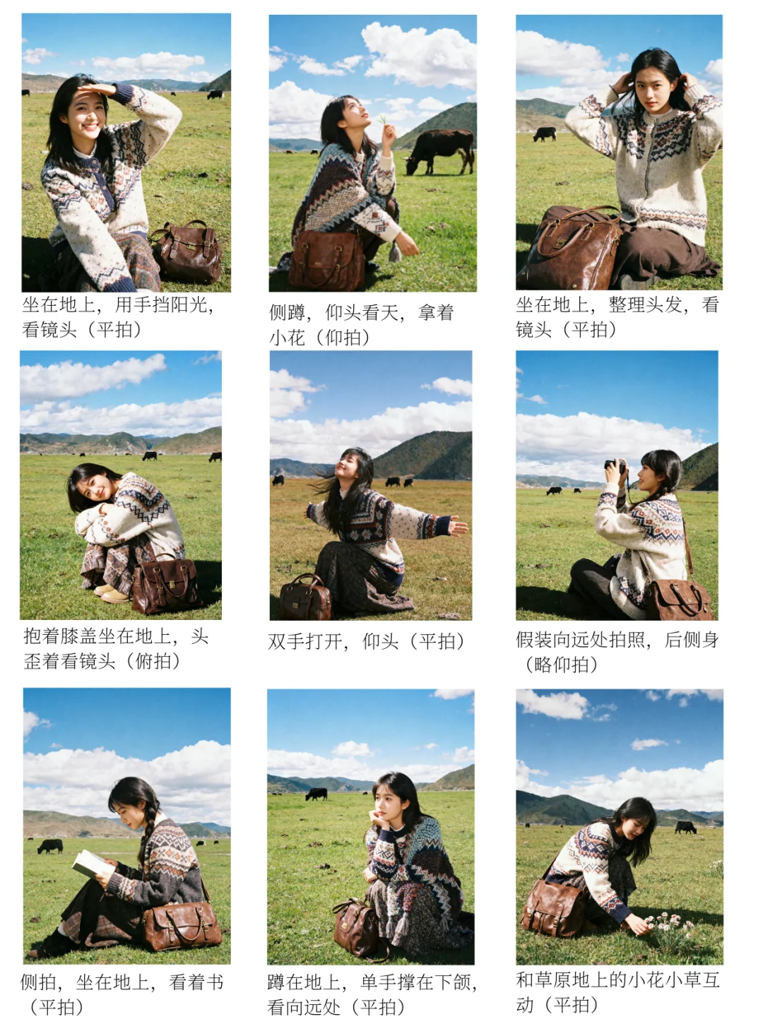 适合素人的拍摄脚本📷草原的风