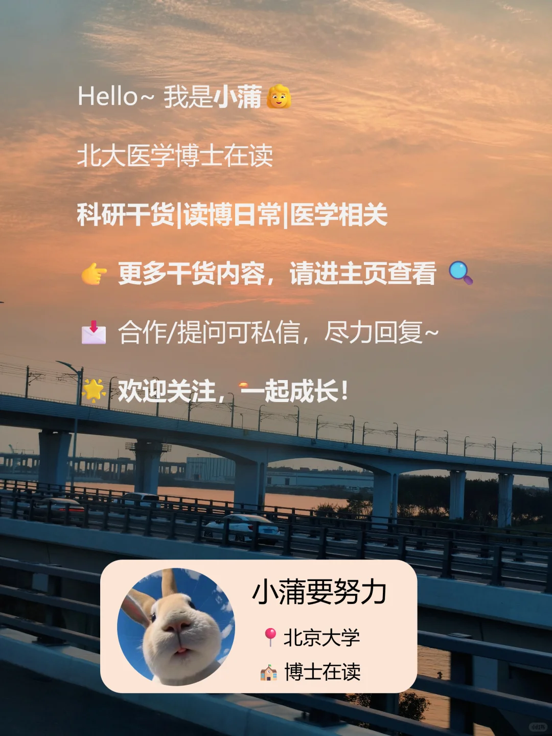 医学博士生桌面大赏