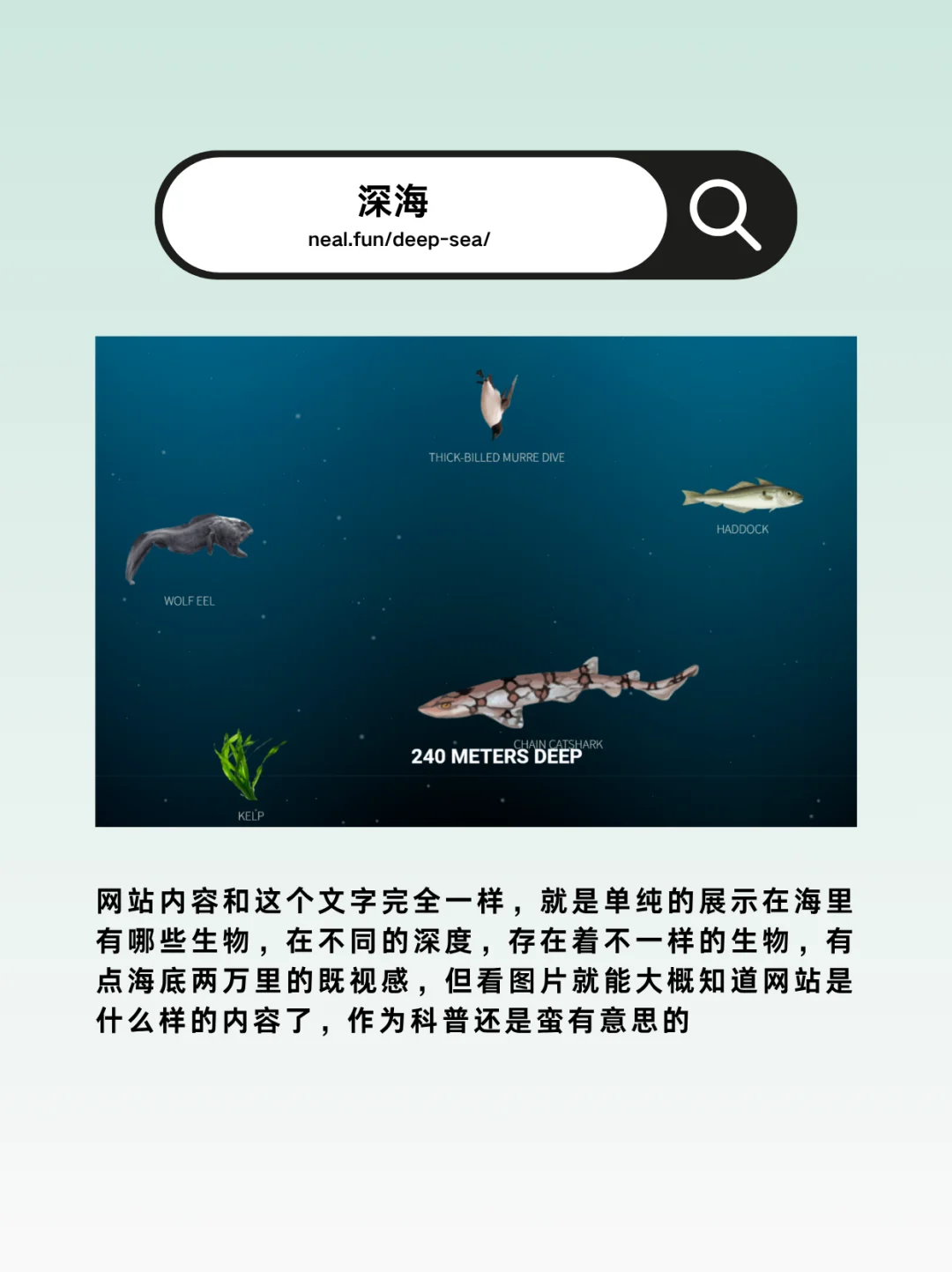 宅男私藏的9个宝藏网站！每个都是快乐源泉