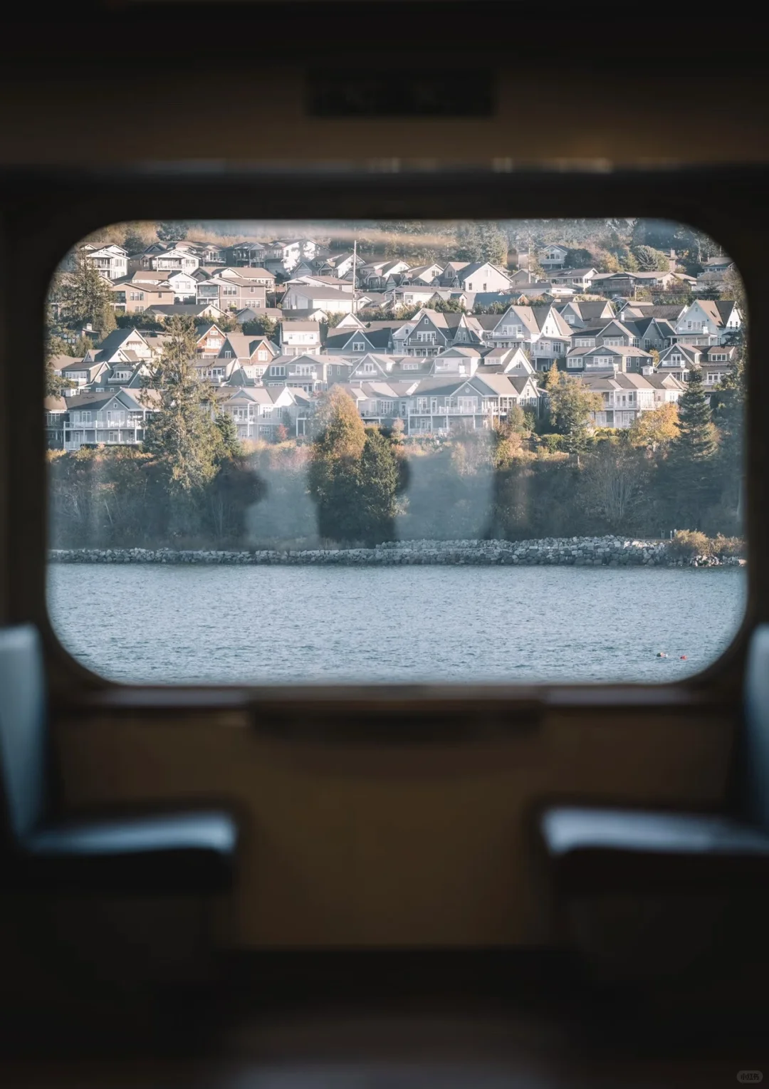 用了几块的dazz会员，发朋友圈就是王炸