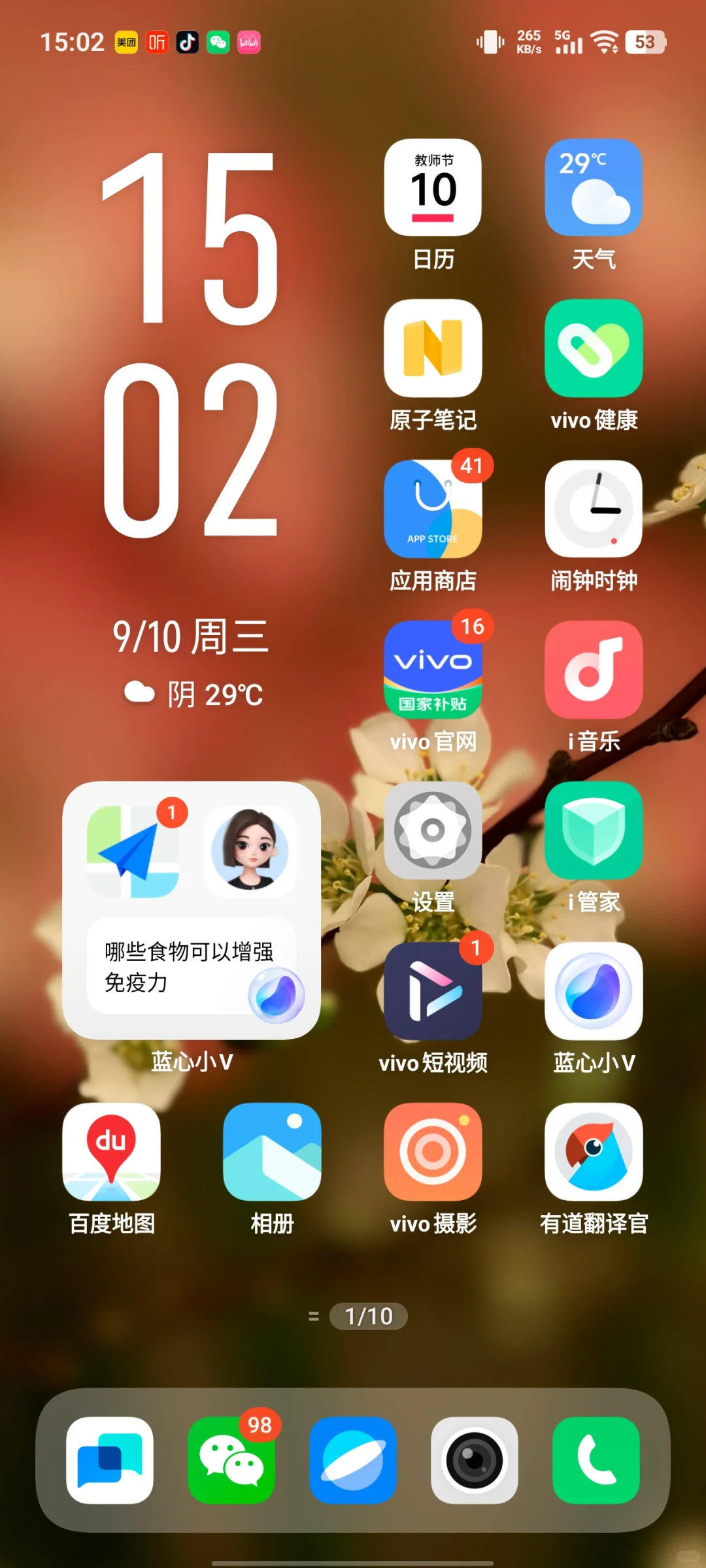 vivo手机装境外app