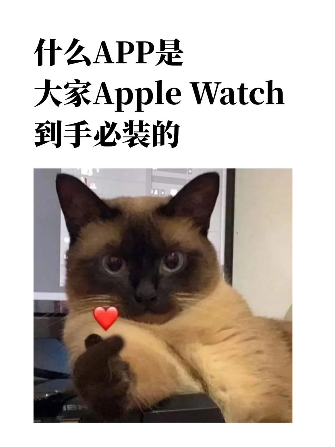 第一次用Apple Watch有没有什么必装的app