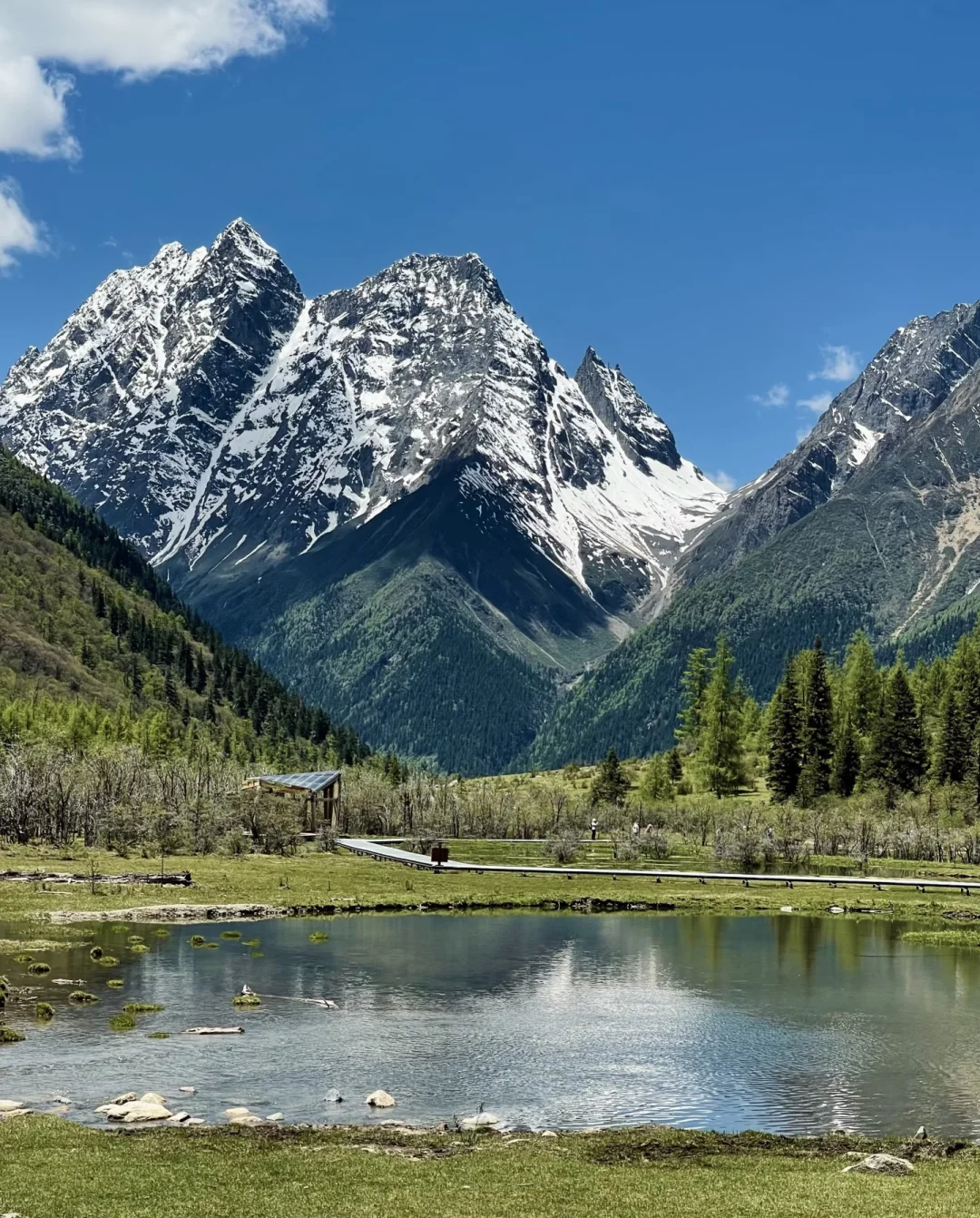 用了几块的dazz会员，发朋友圈就是王炸