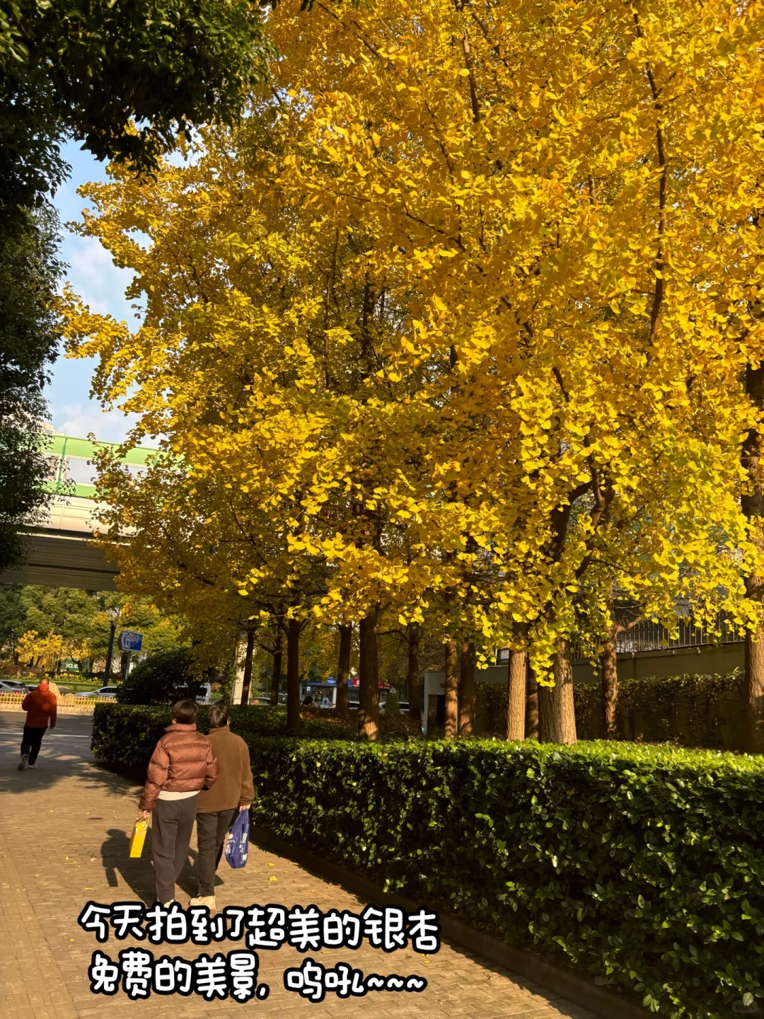 97年|上海月入5千|找到了最适合懒人的账本