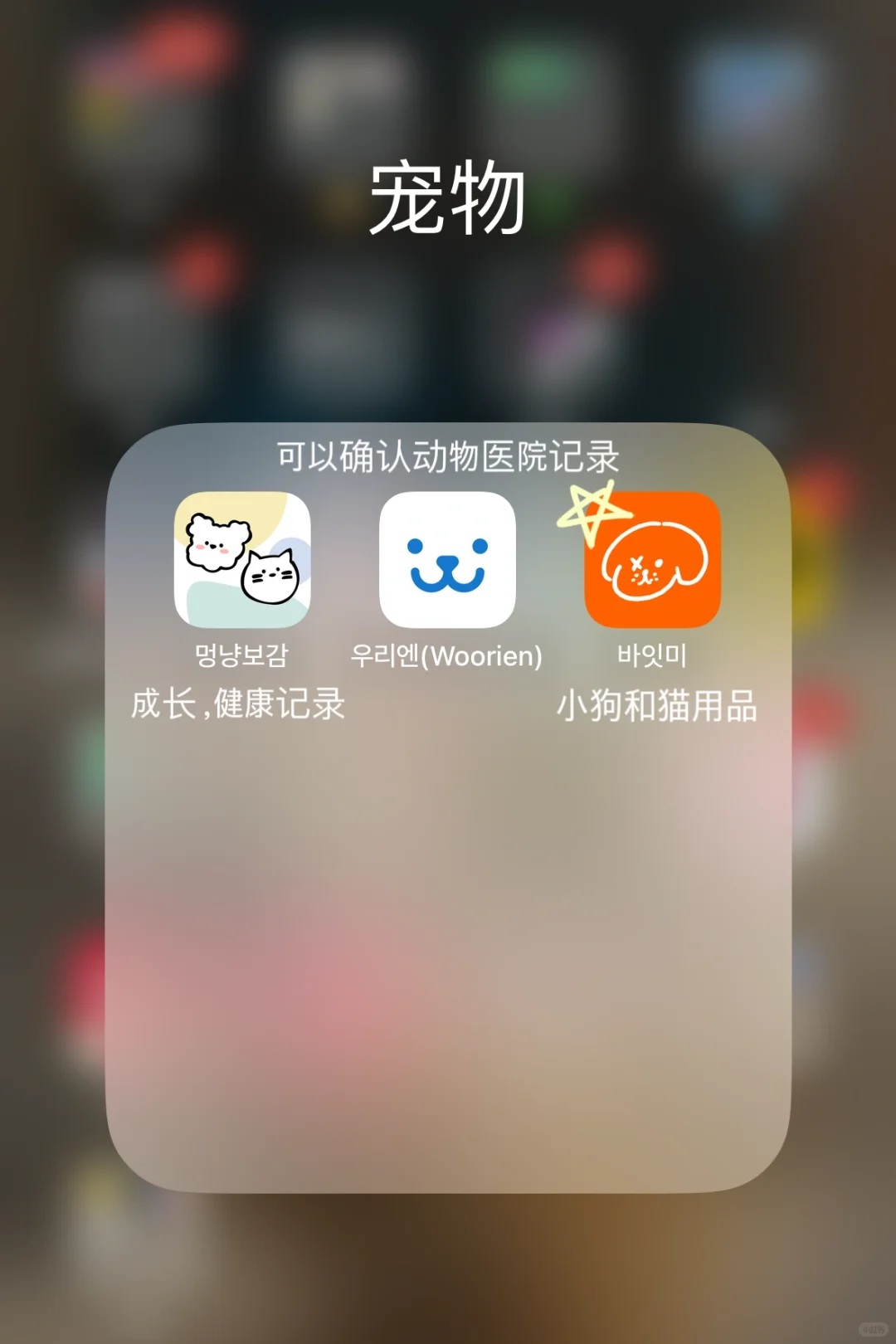 推荐给居住在韩国的人！💛