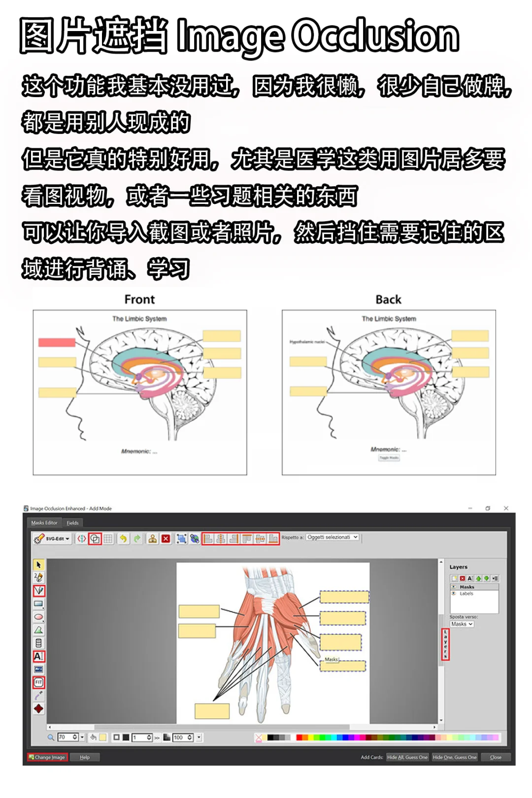 好用的Anki插件推荐