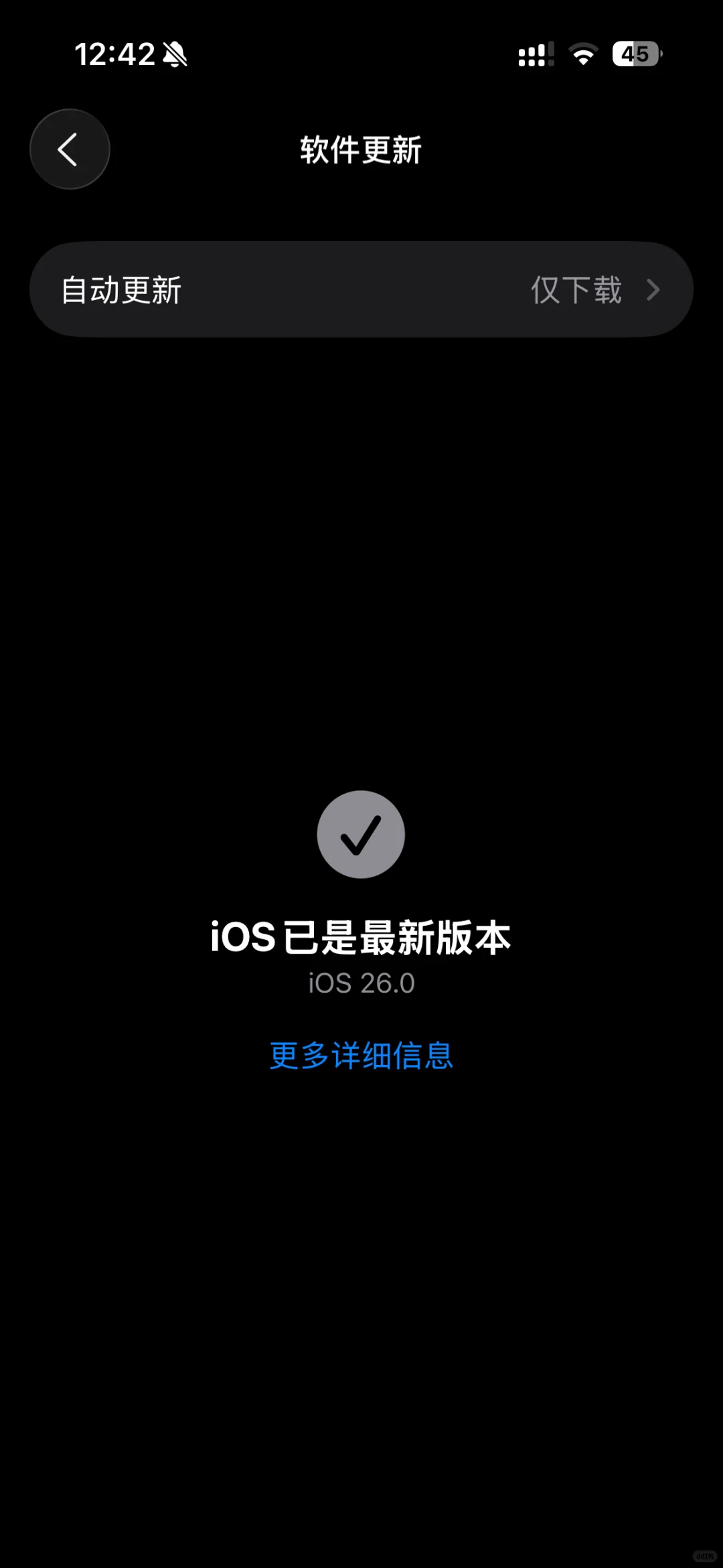 宝马CarPlay有歌词了