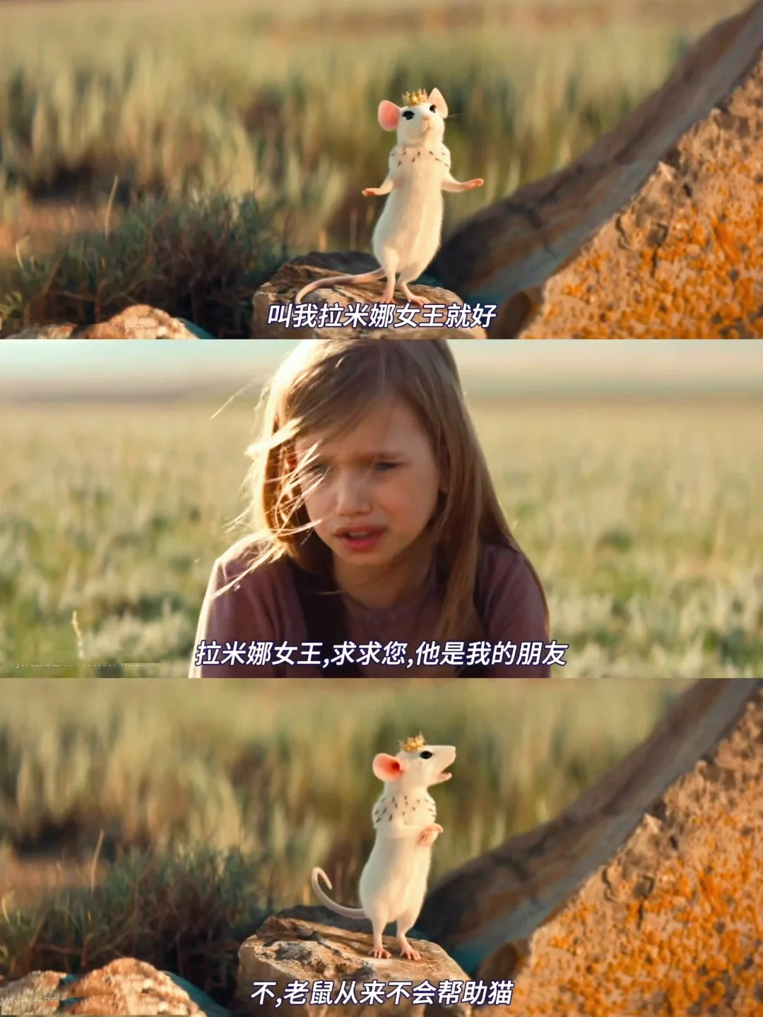 哈哈哈笑疯了🤣怎么会有这么可爱的电影啊‼️