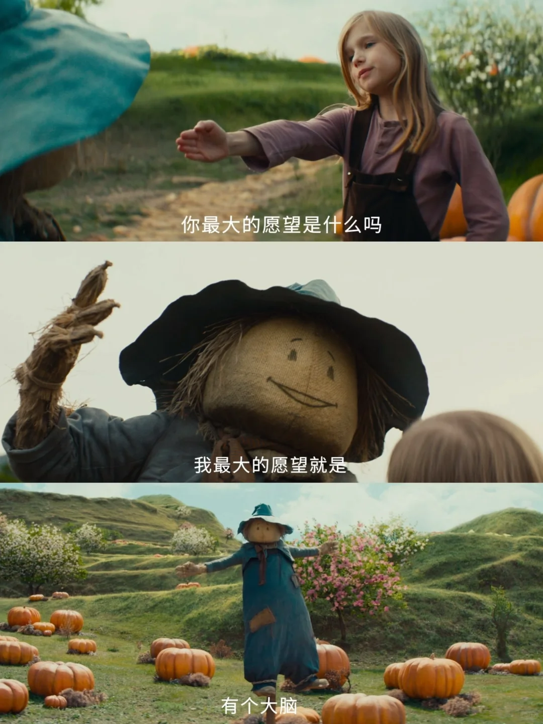 哈哈哈笑疯了🤣怎么会有这么可爱的电影啊‼️