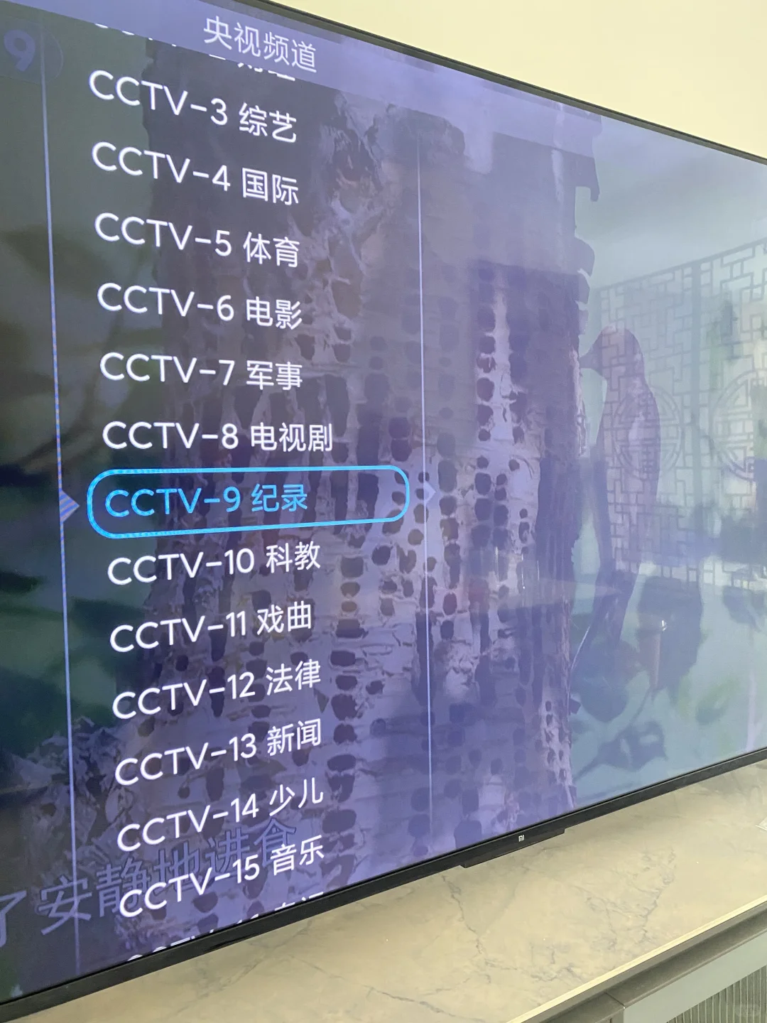 看电视周六高清 1080P启动直播📺推荐