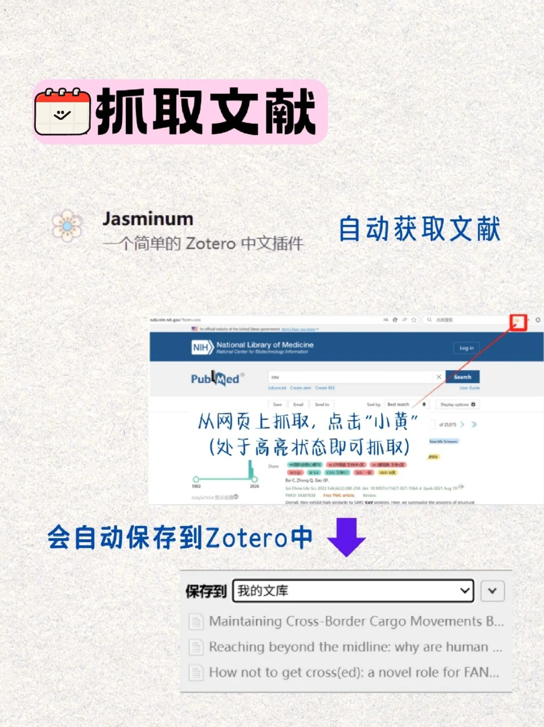 Zotero装了20+插件后，我悟了...