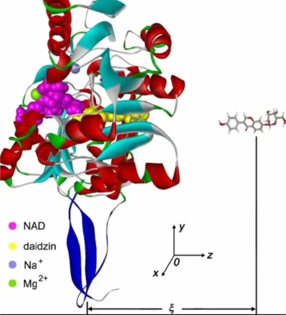 分子动力学模拟