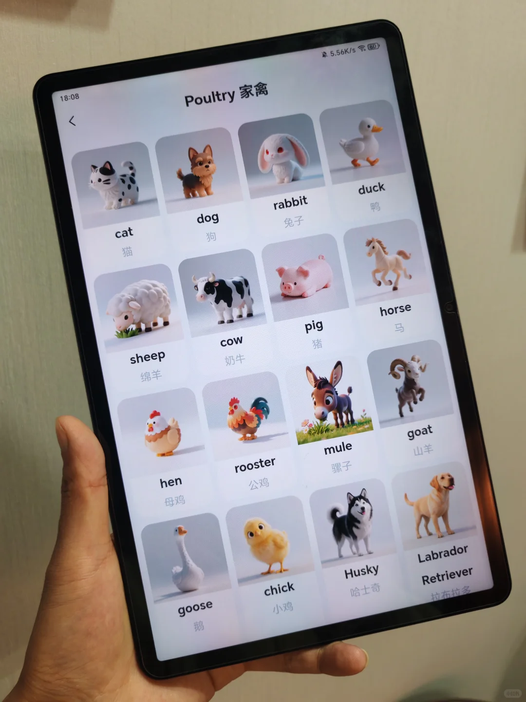 真离谱😲😲居然都二胎了才知道这个。。