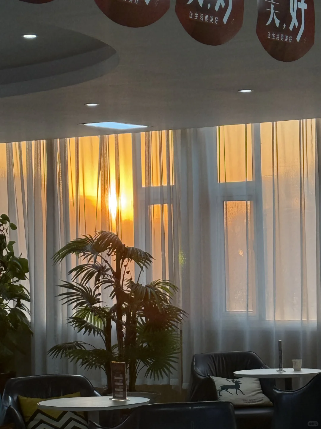 从护士到网咨，我的医美人生新篇章！