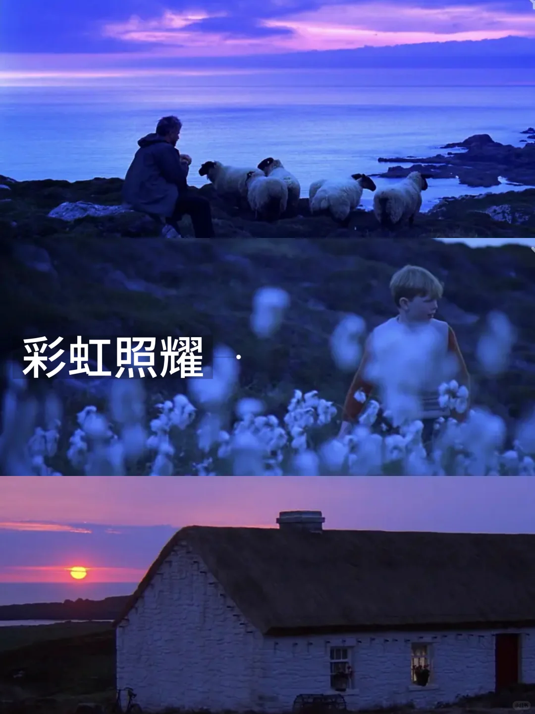 13部必看欧美治愈电影‼️第一部就封神了🔥