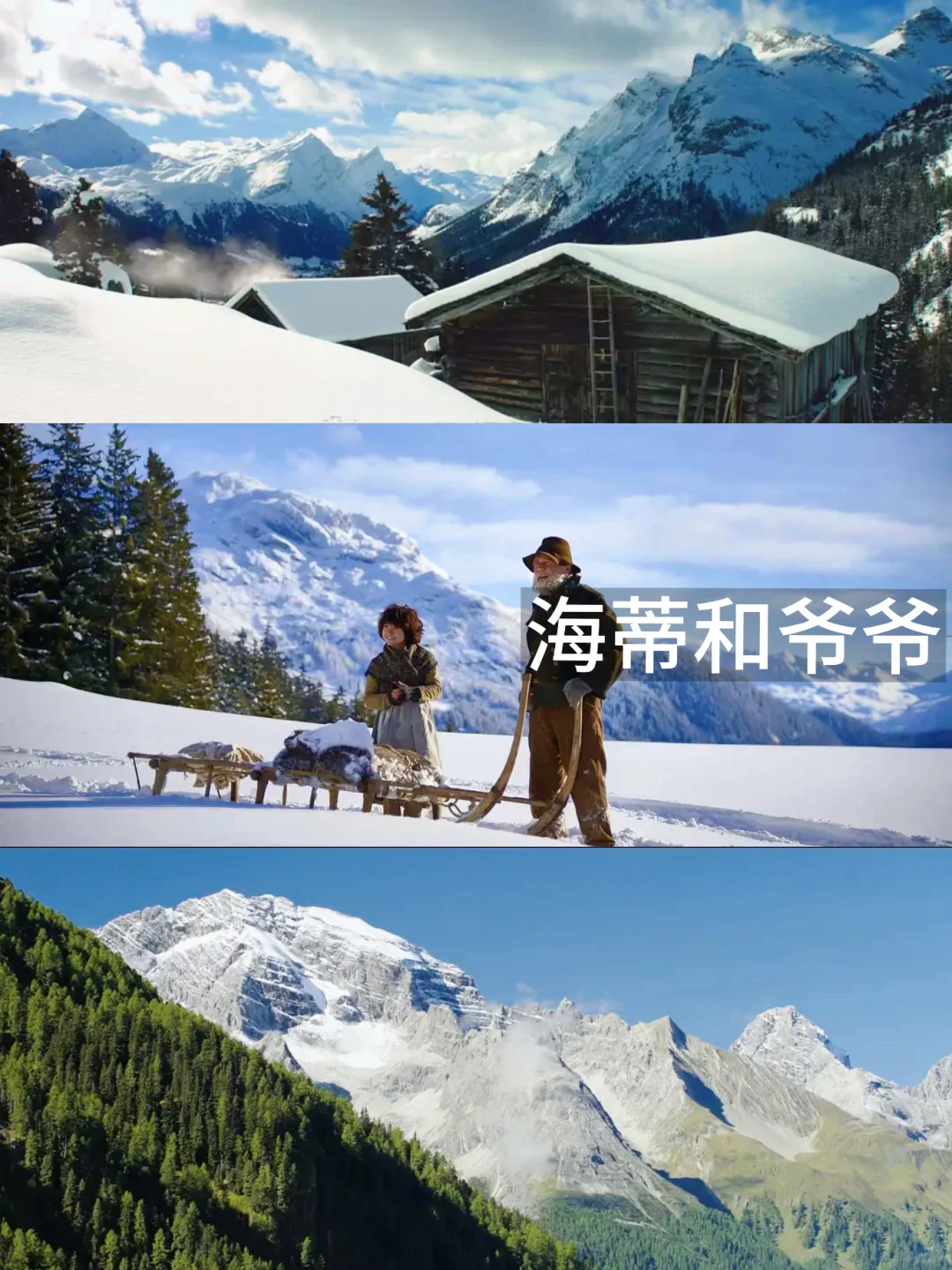 13部必看欧美治愈电影‼️第一部就封神了🔥