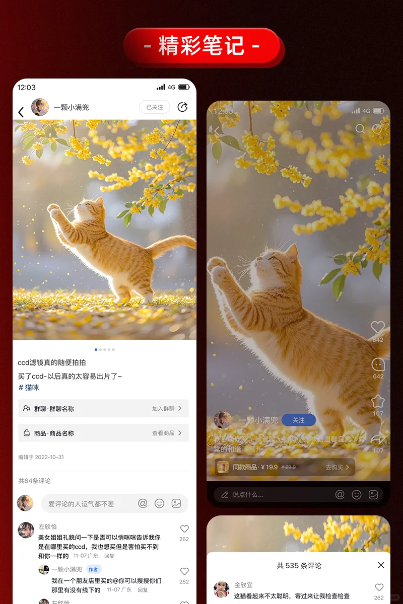 仿小红书社交系统APP开发/自研IM直播系统