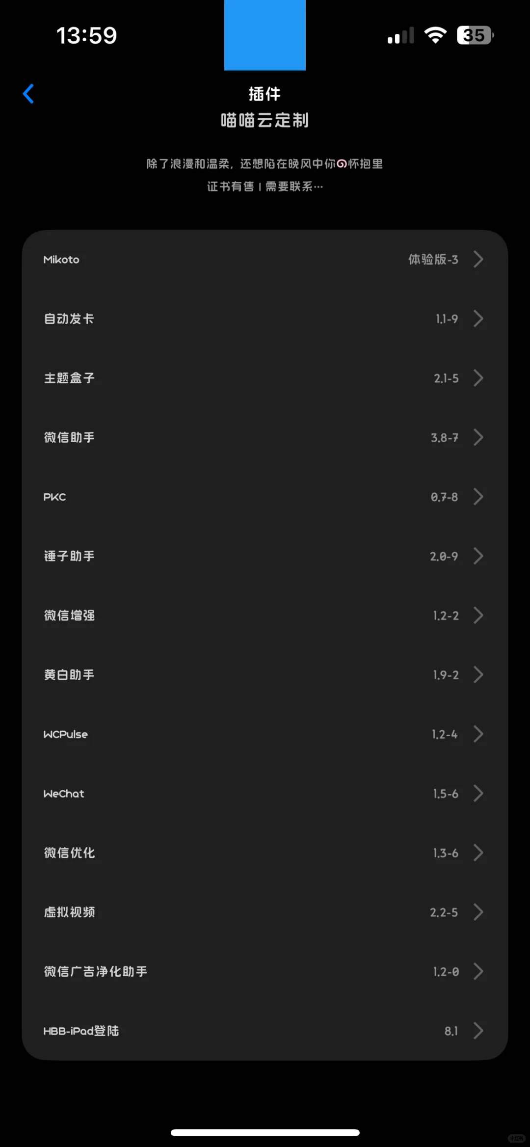 新开的定制v的ipa包分享👗
