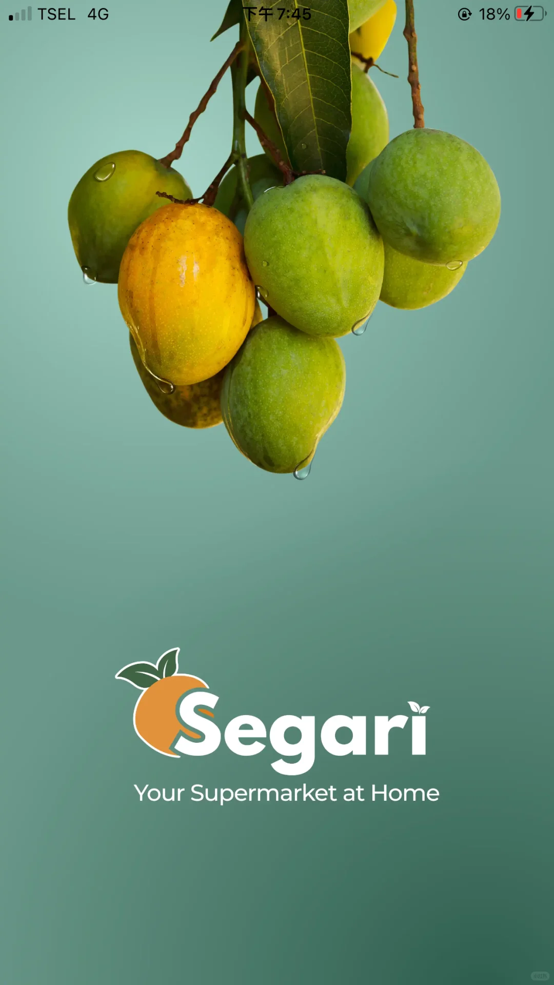 在印尼常用的7个买菜app对比