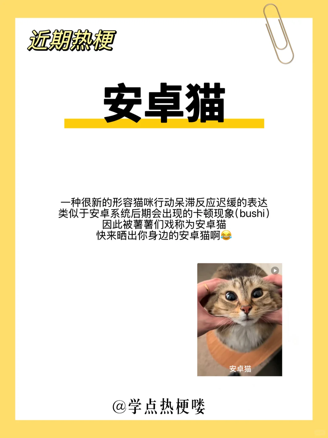 如何做一个有网感的人✅ 我就是道理，安卓猫