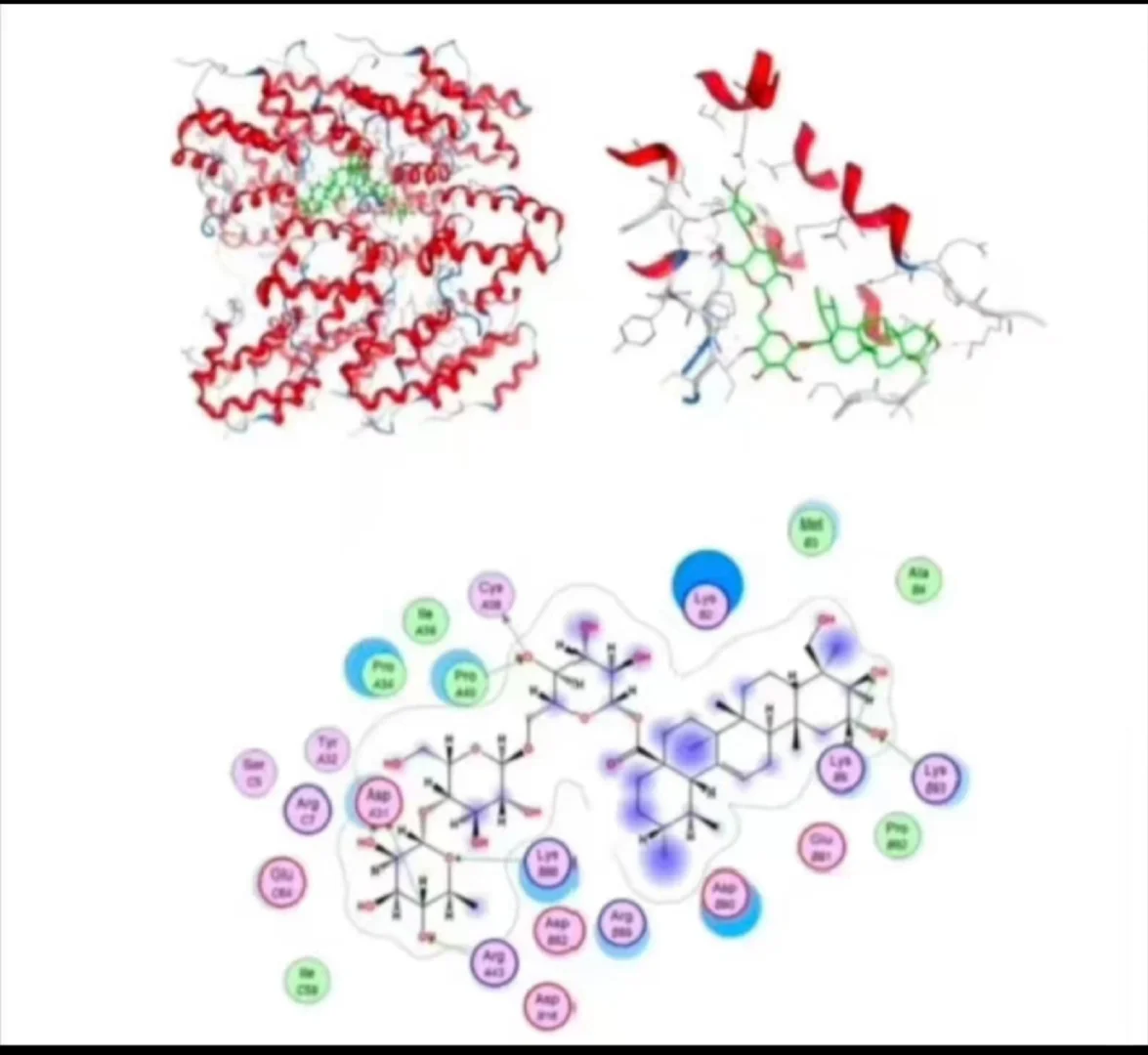 分子动力学模拟