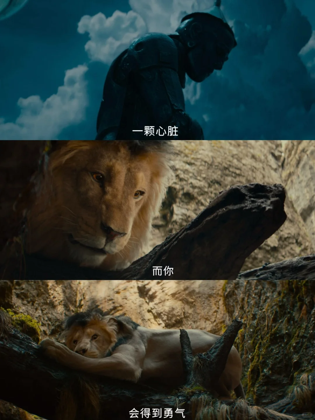 哈哈哈笑疯了🤣怎么会有这么可爱的电影啊‼️