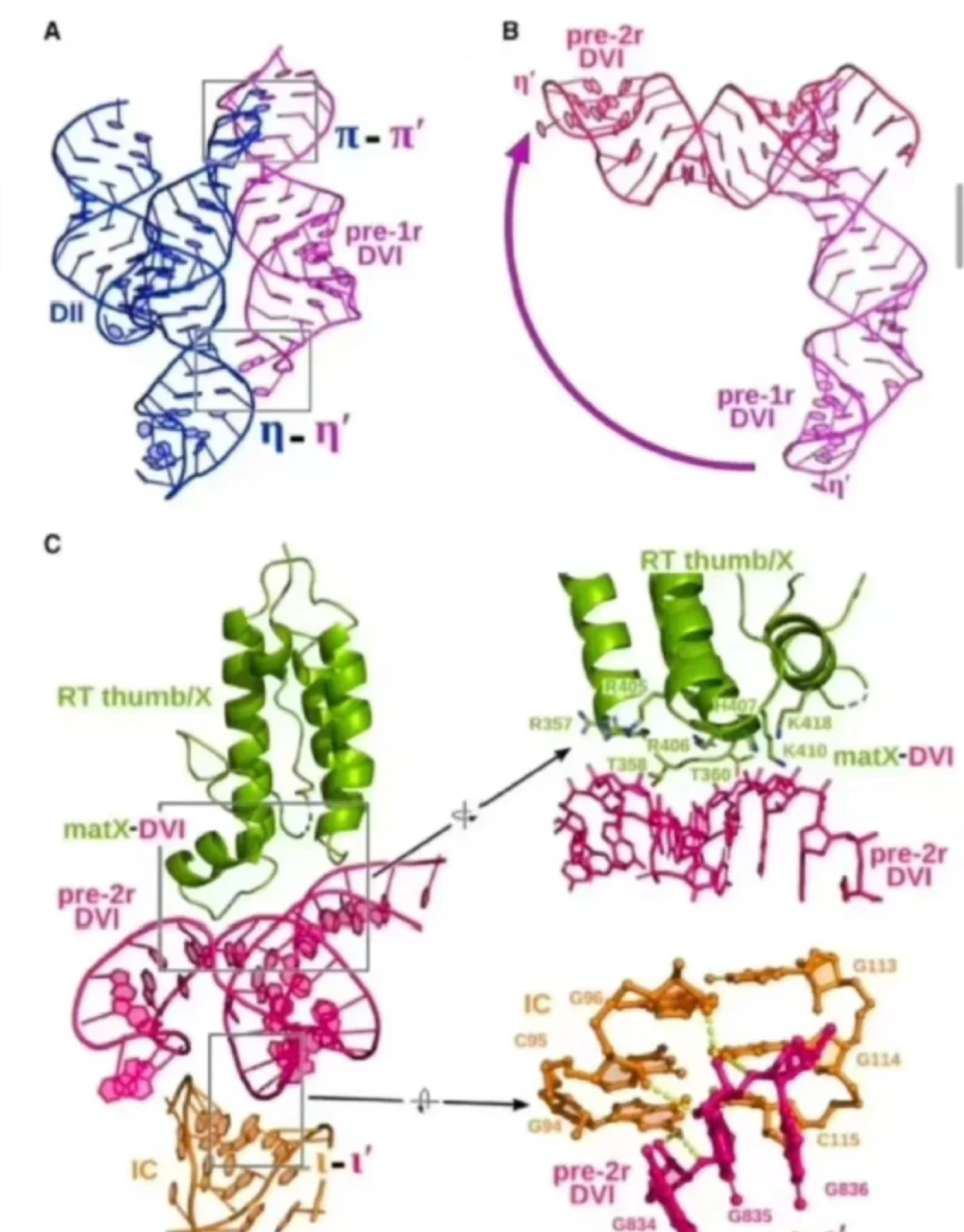 分子动力学模拟