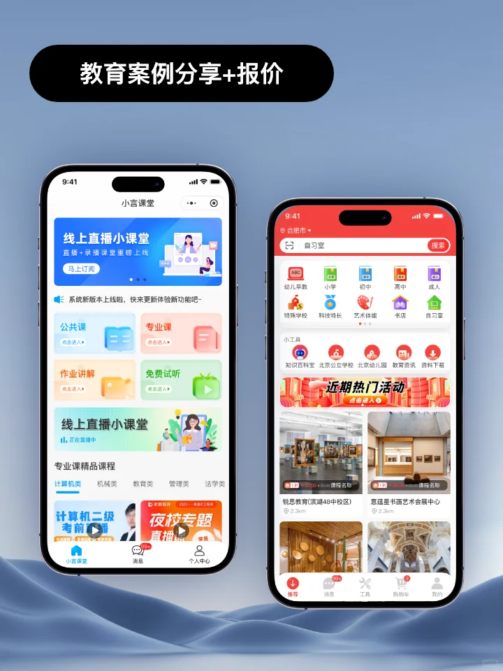 定制一款海外APP,需要花费多少钱?