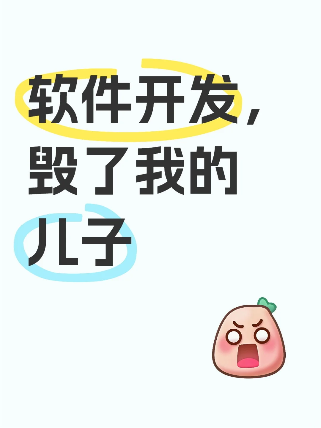 软件开发，毁了我的儿子