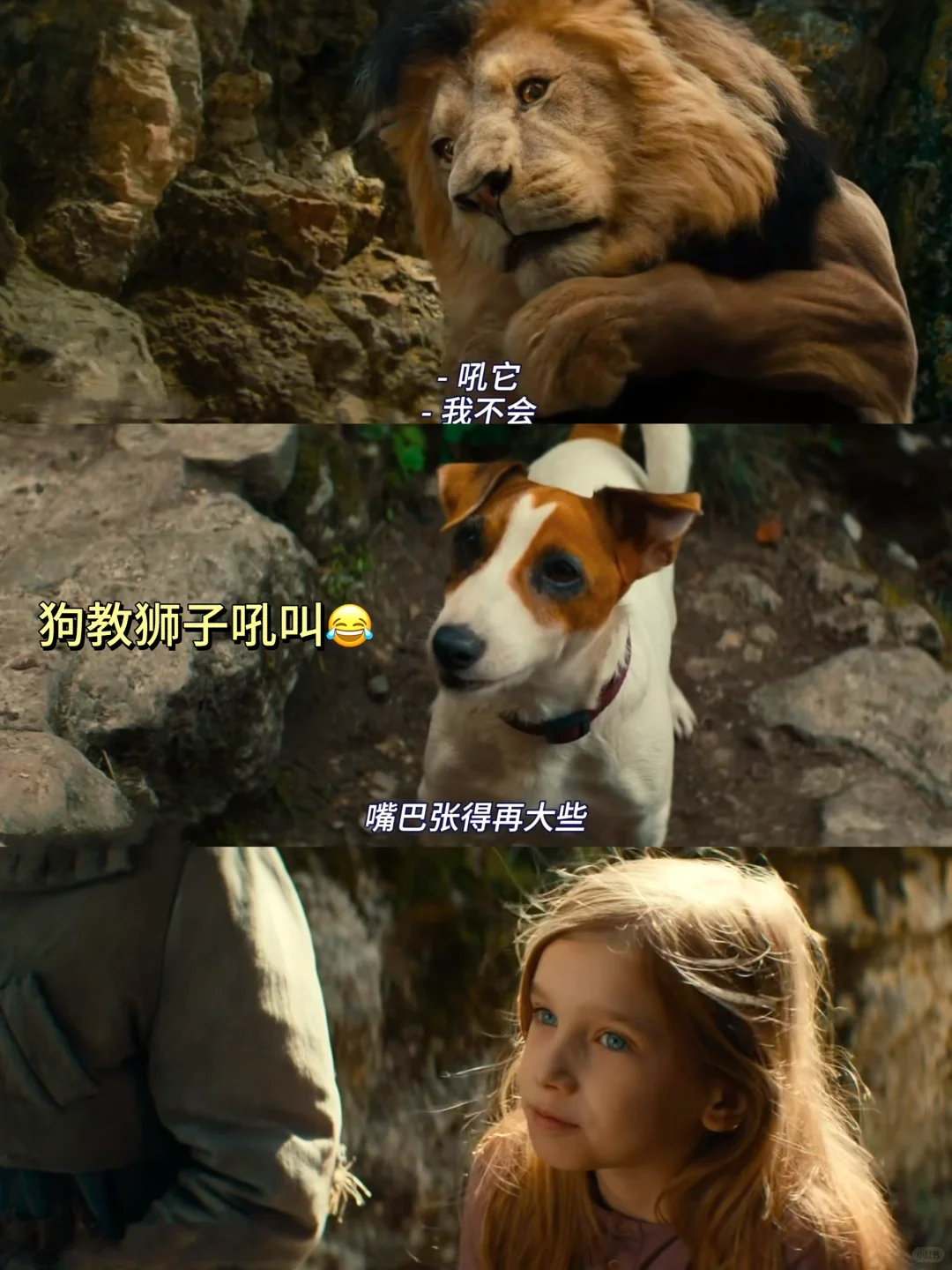 哈哈哈笑疯了🤣怎么会有这么可爱的电影啊‼️