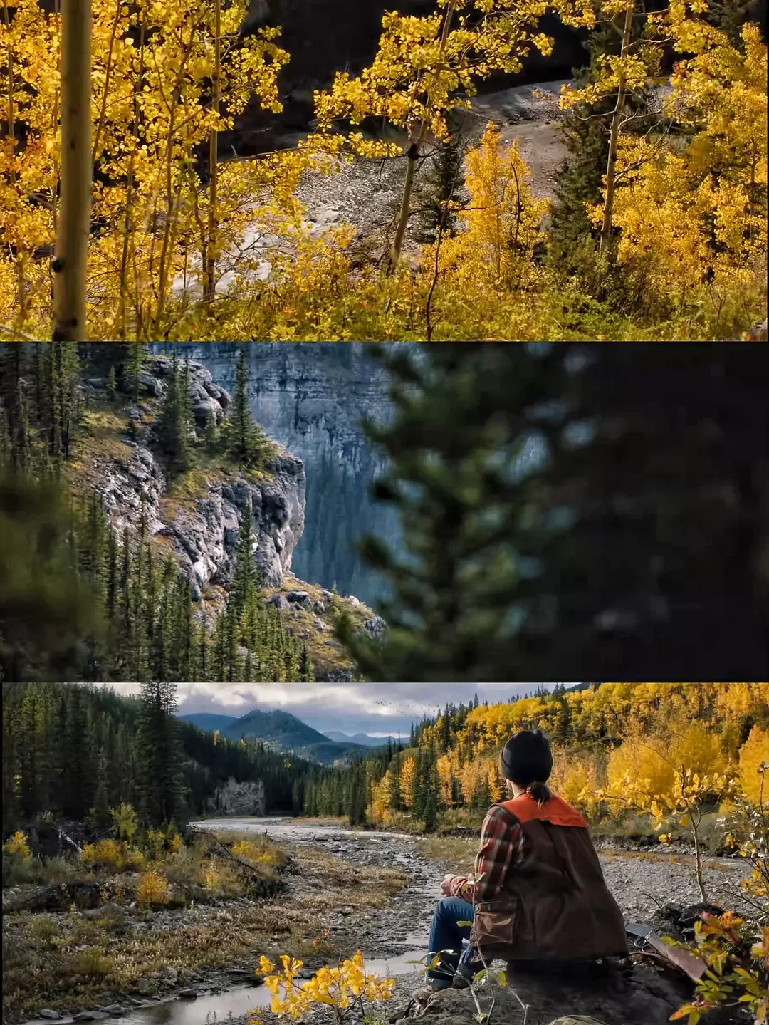 😭本人最爱的人生电影，没有之一❗️❗️❗️