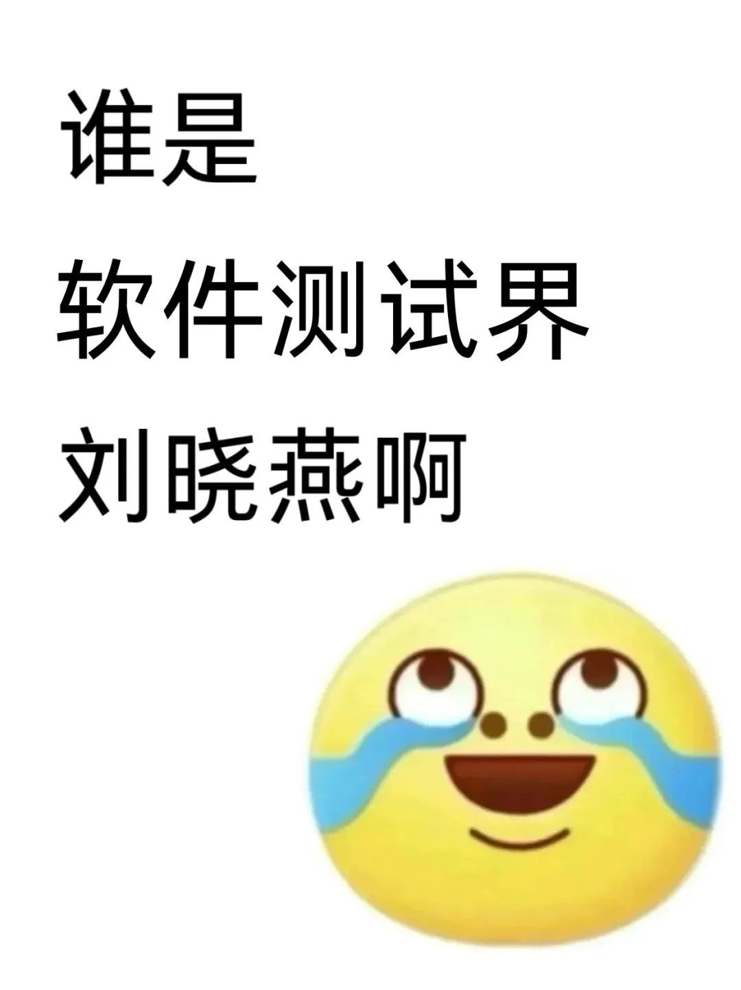 谁是软件测试界的刘晓燕啊！！？