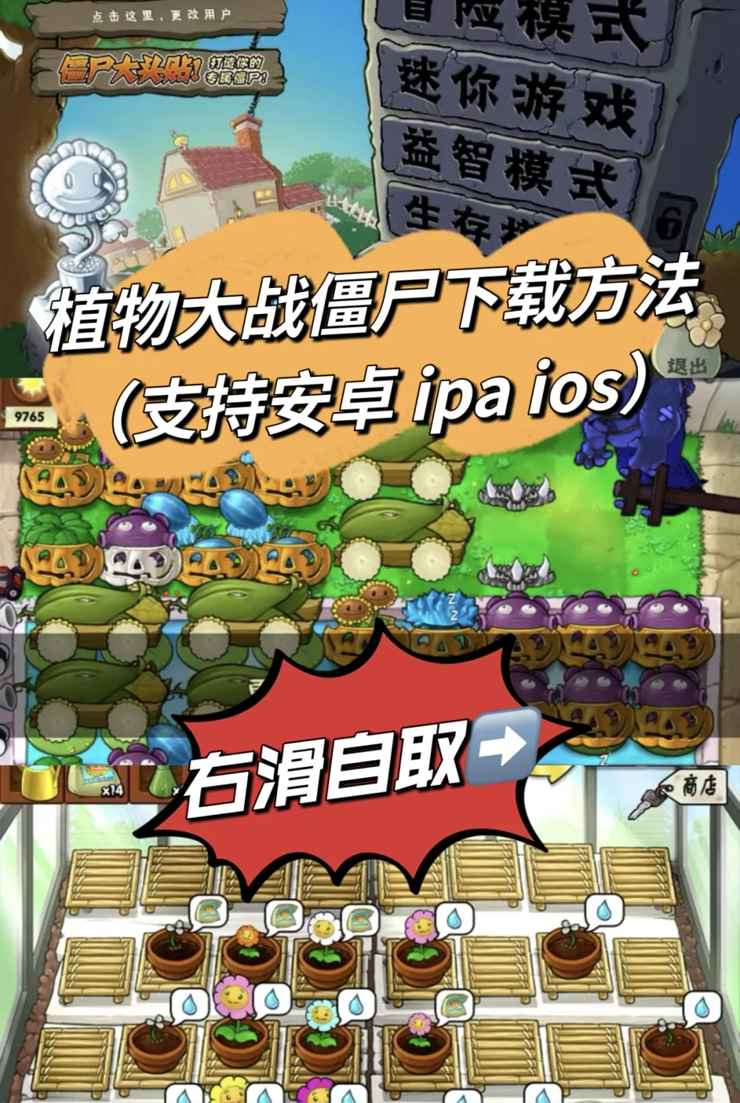 🔥正版无广植物大战僵尸完整版下载方法来啦