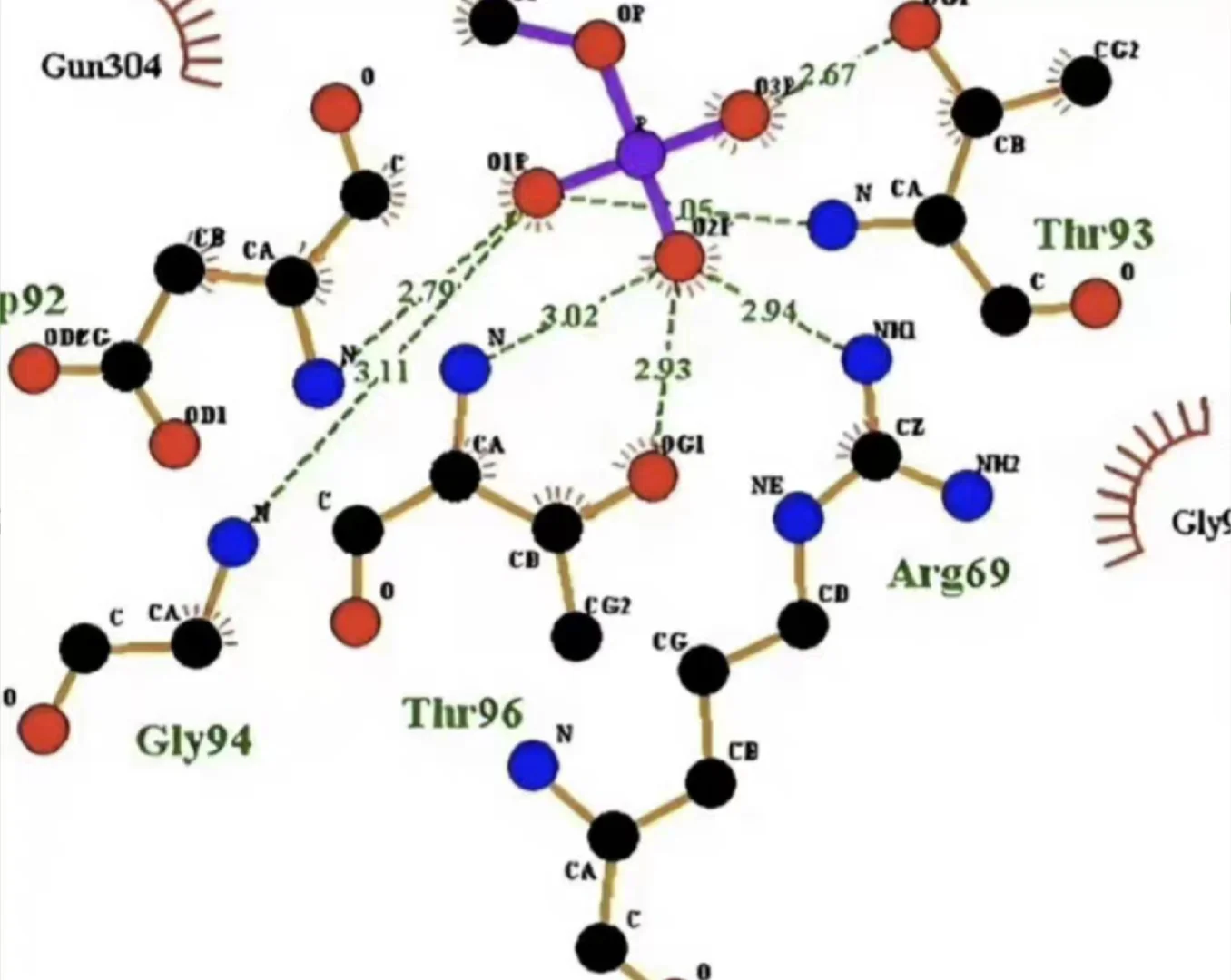 分子动力学模拟