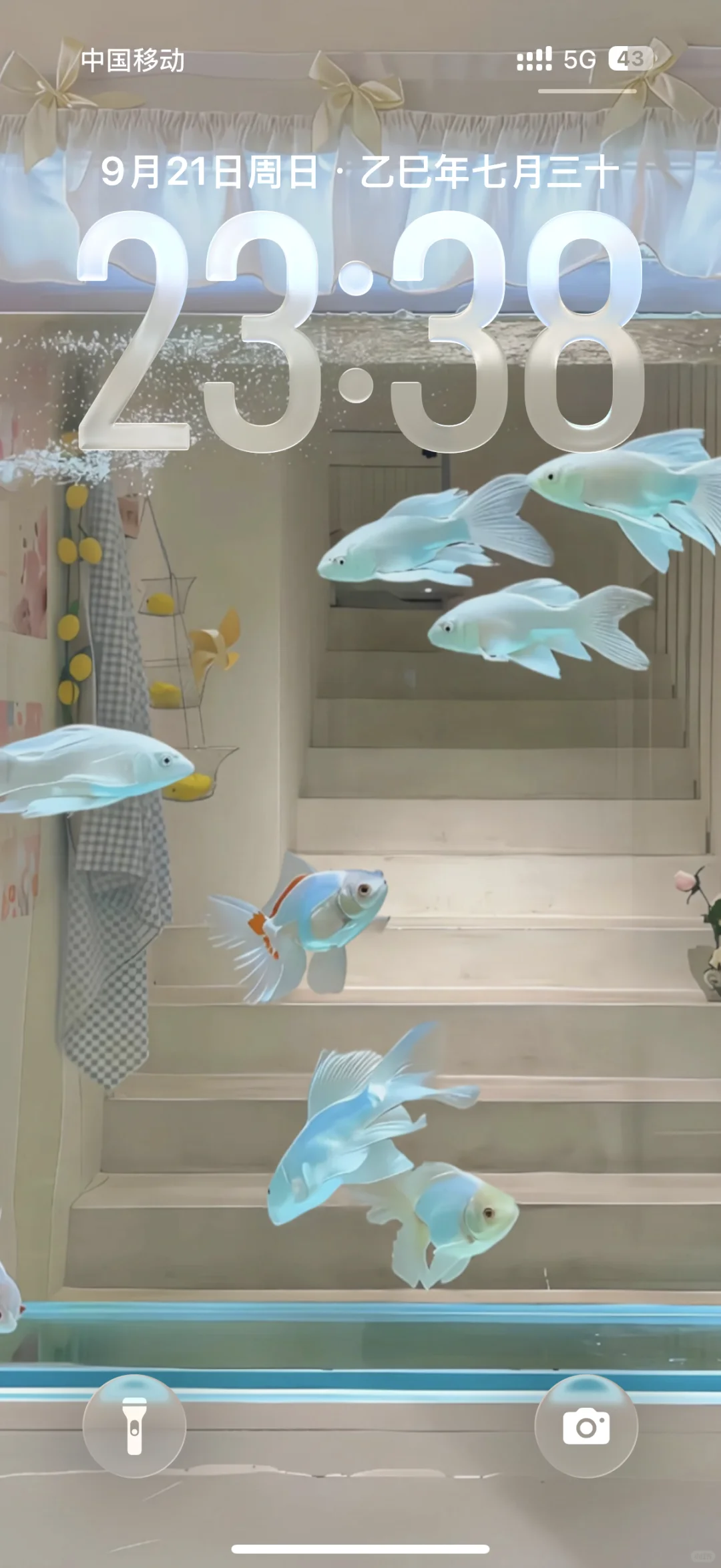 iOS26透明桌面布局太好看了！！！