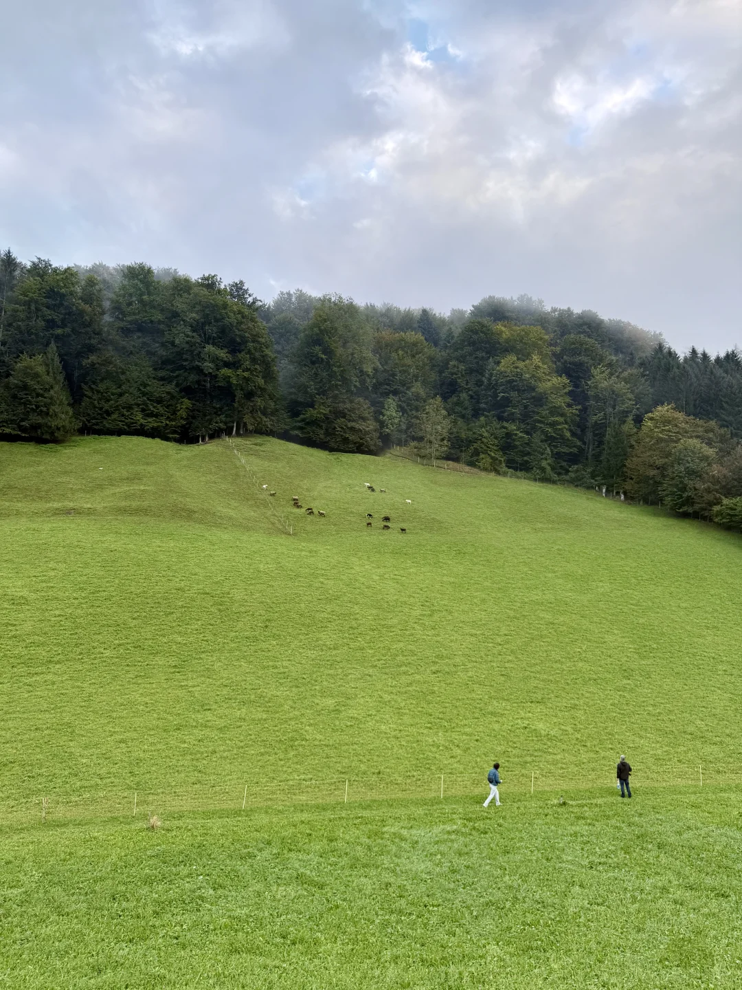 奥地利徒步推荐最好的APP