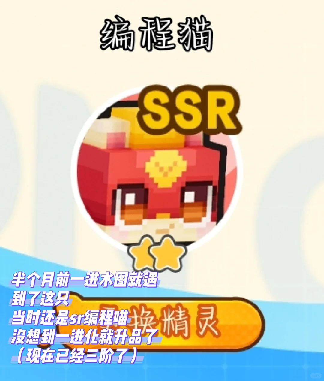 停课当天神岛源码出了第二个孵蛋ssr