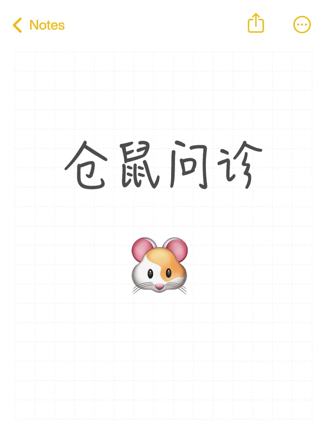 兽医24h在线问诊，仓鼠问题秒回！