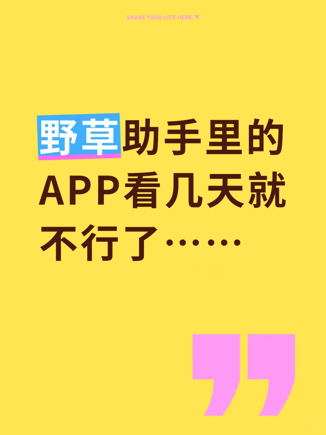 影视仓，饭太硬用几天就看不了了