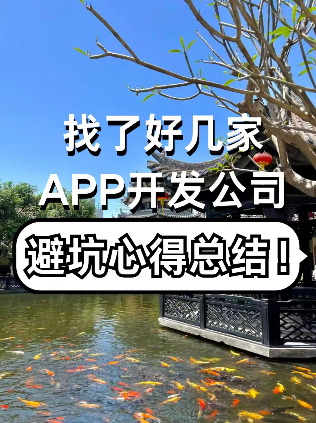 找了好几家APP开发公司，避坑心得总结！